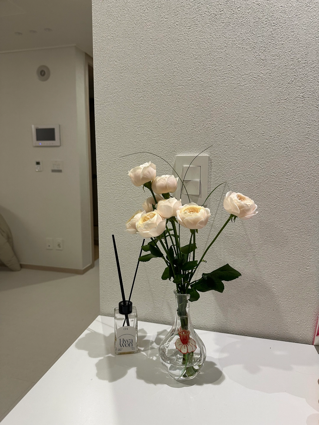 주 1회 3시간 고정적으로 집안일 도와주실 분