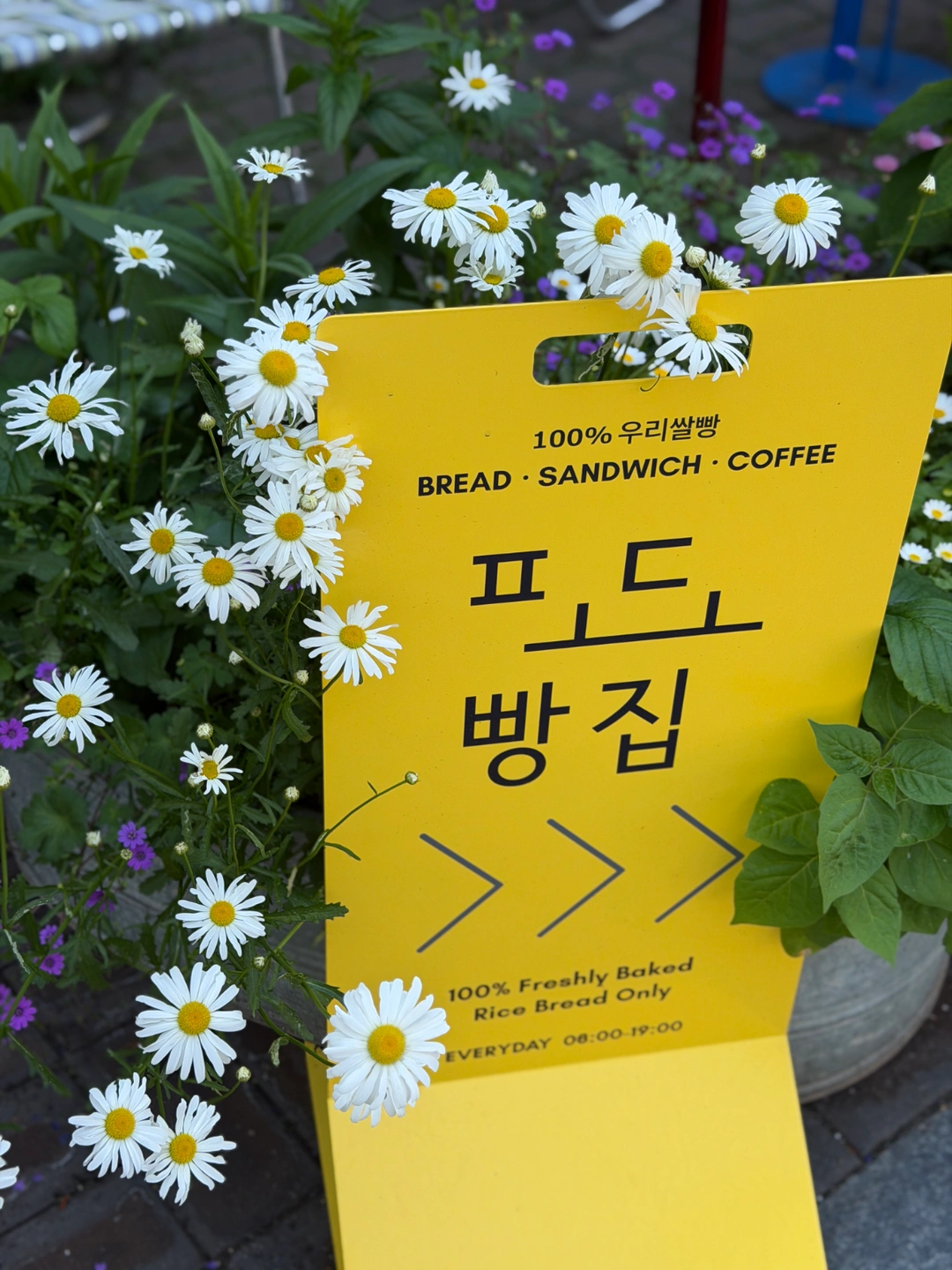 압구정 포도빵집 매장 오픈타임 직원 모집합니다.