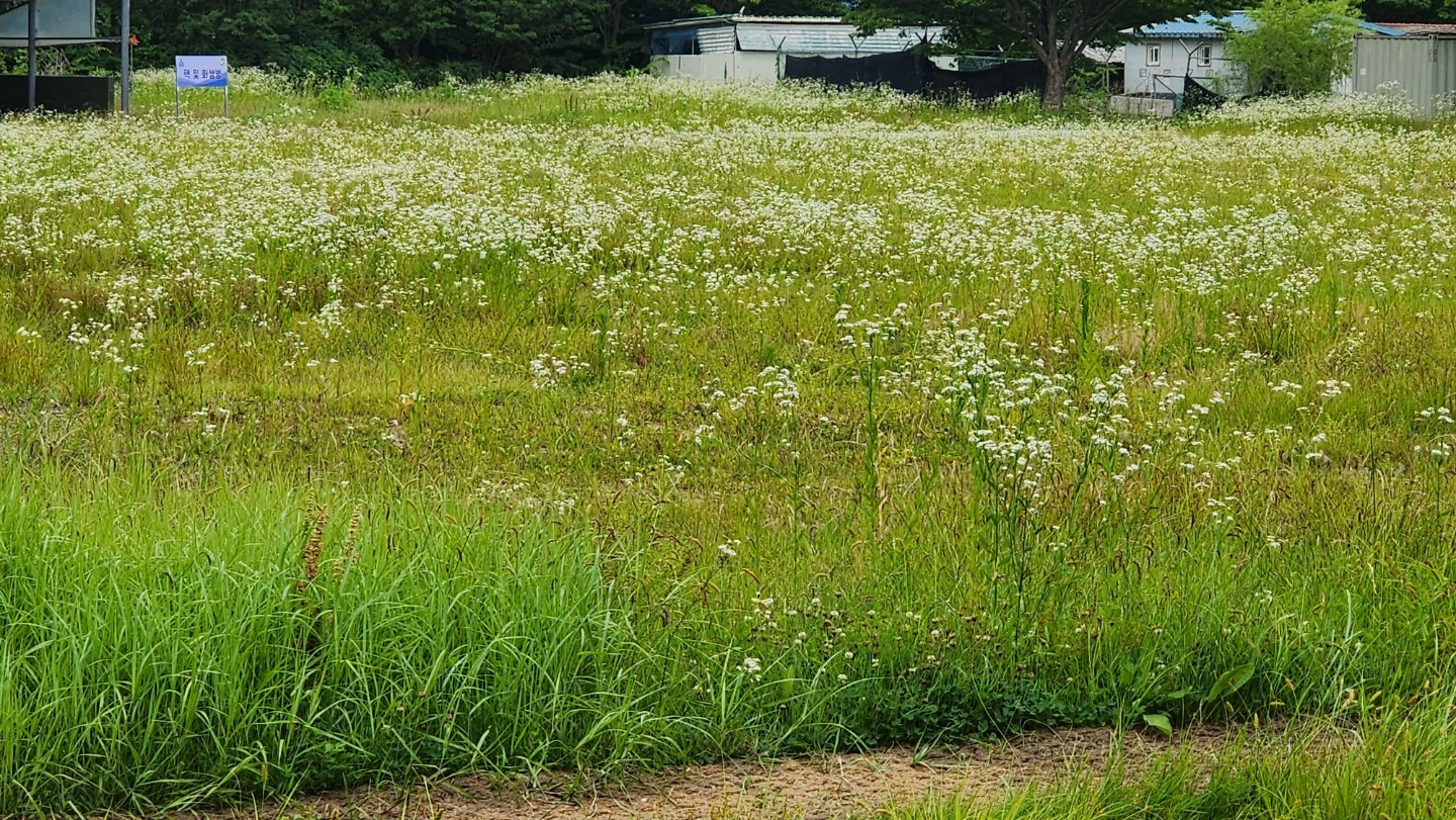 새벽 학원 청소 도와주세요