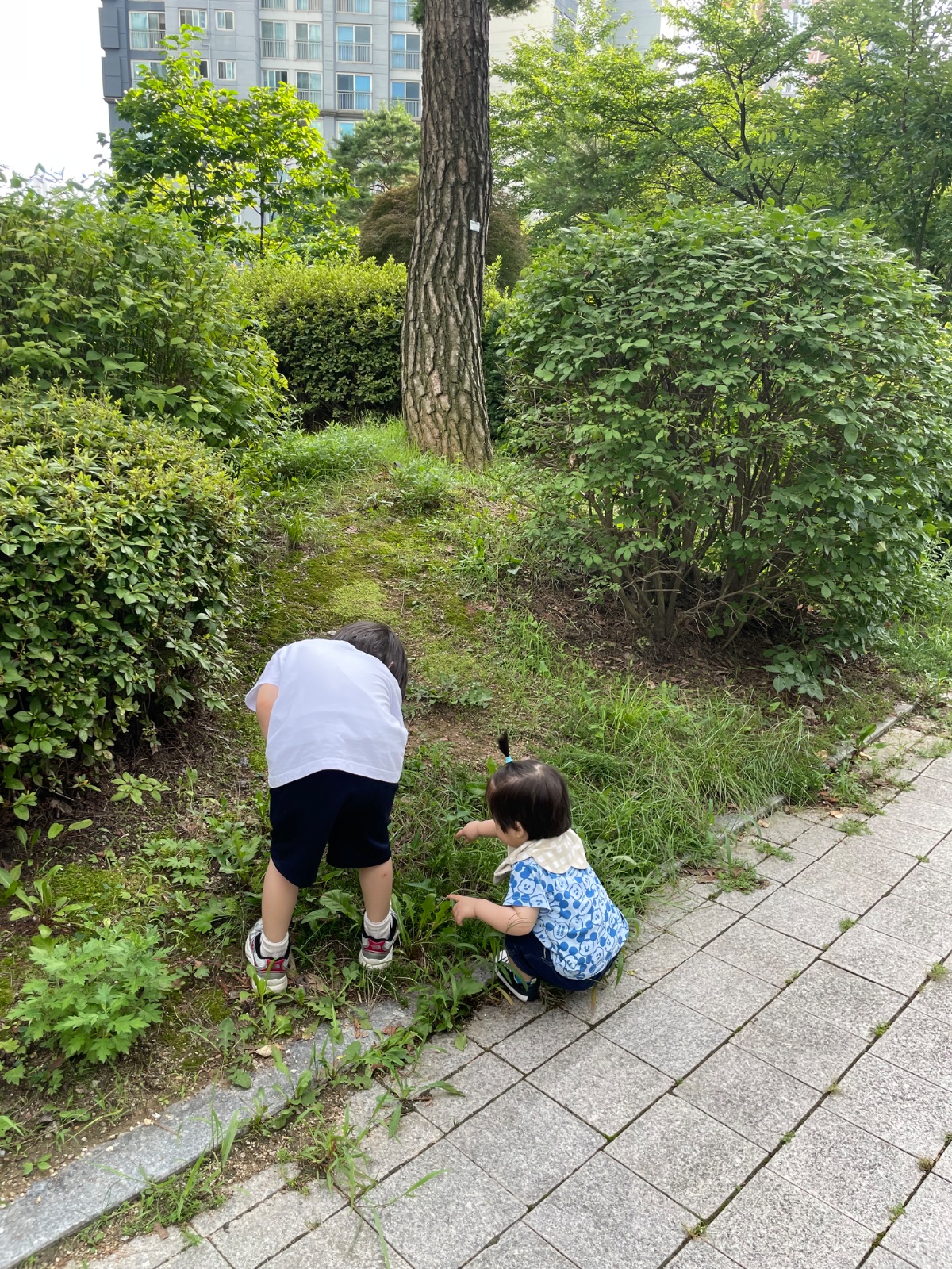 하원 이모님 구인합니다(매주 수, 할머니와 함께) 공고 썸네일