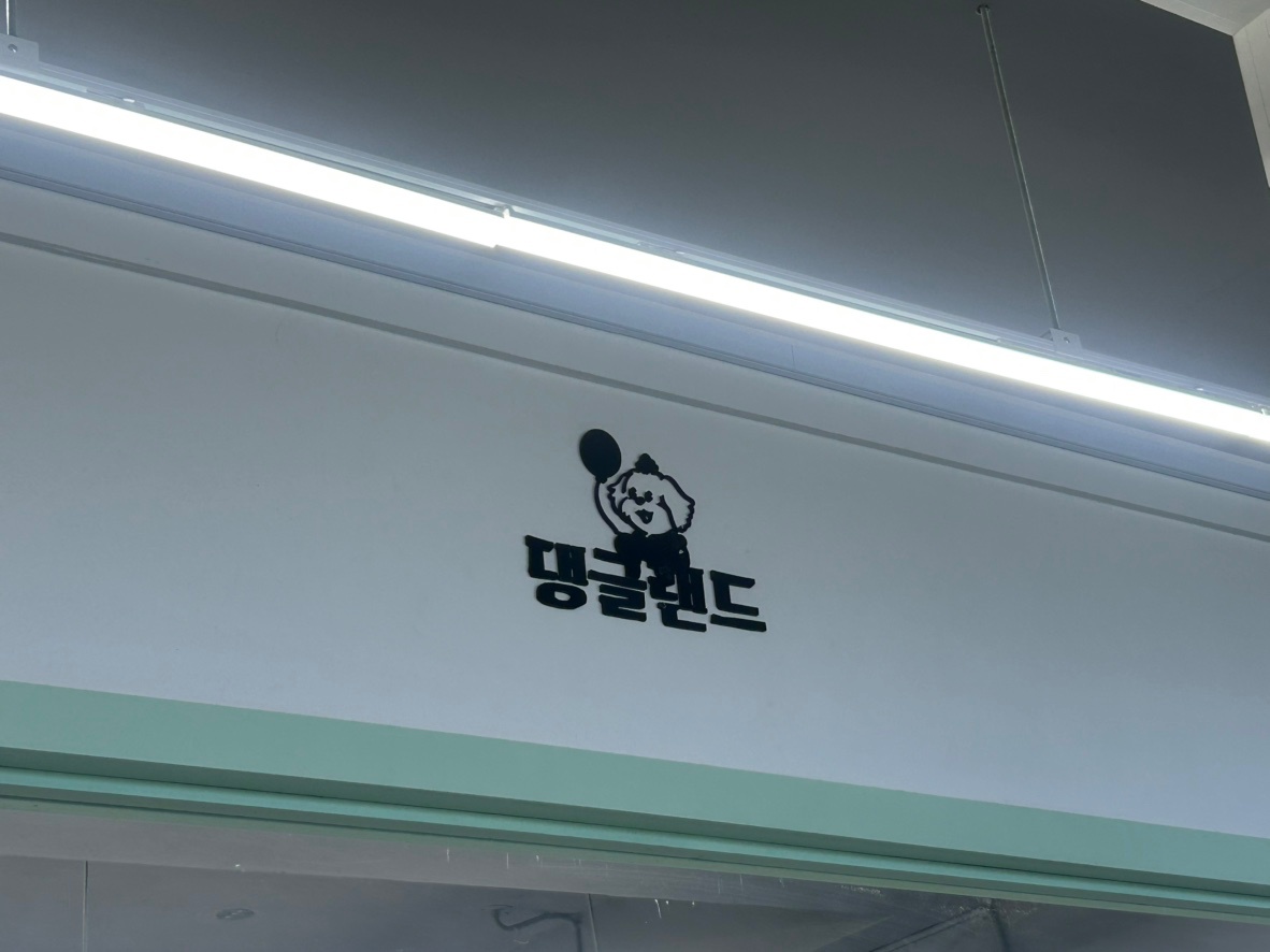 댕글랜드 오픈 선생님 공고 썸네일
