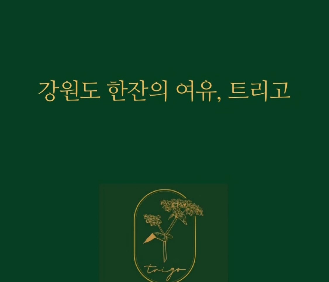 안녕하세요 트리고 동해점 직원 구인합니다! 공고 썸네일