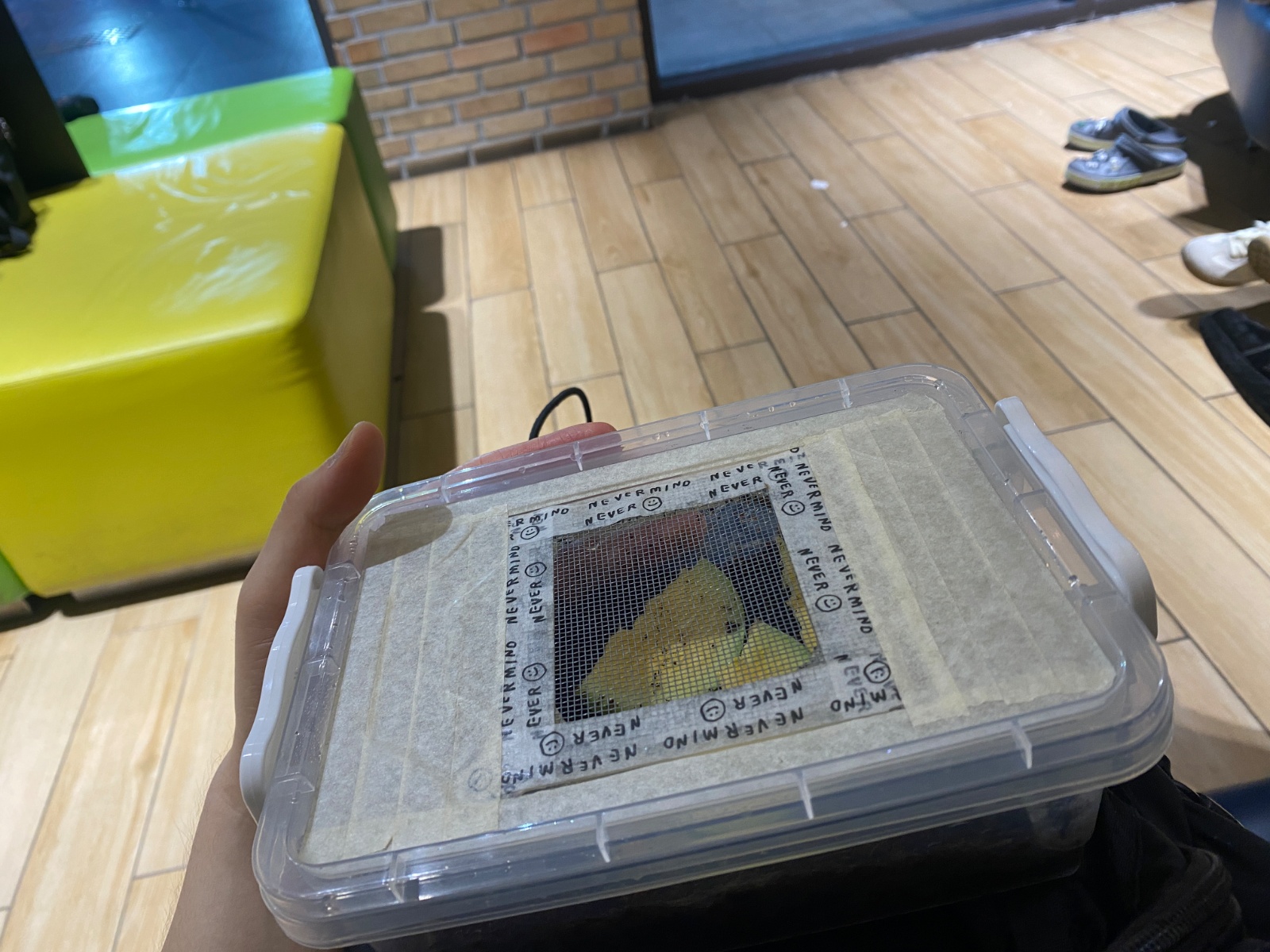 달팽이 돌봐주실 분 구합니다 공고 썸네일