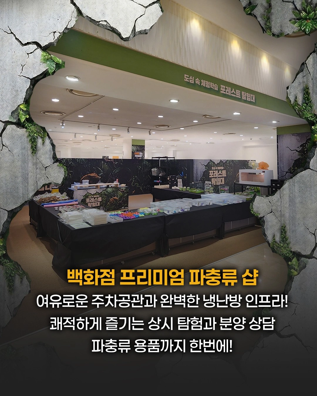 파충류샵 롯데백화점센텀시티점