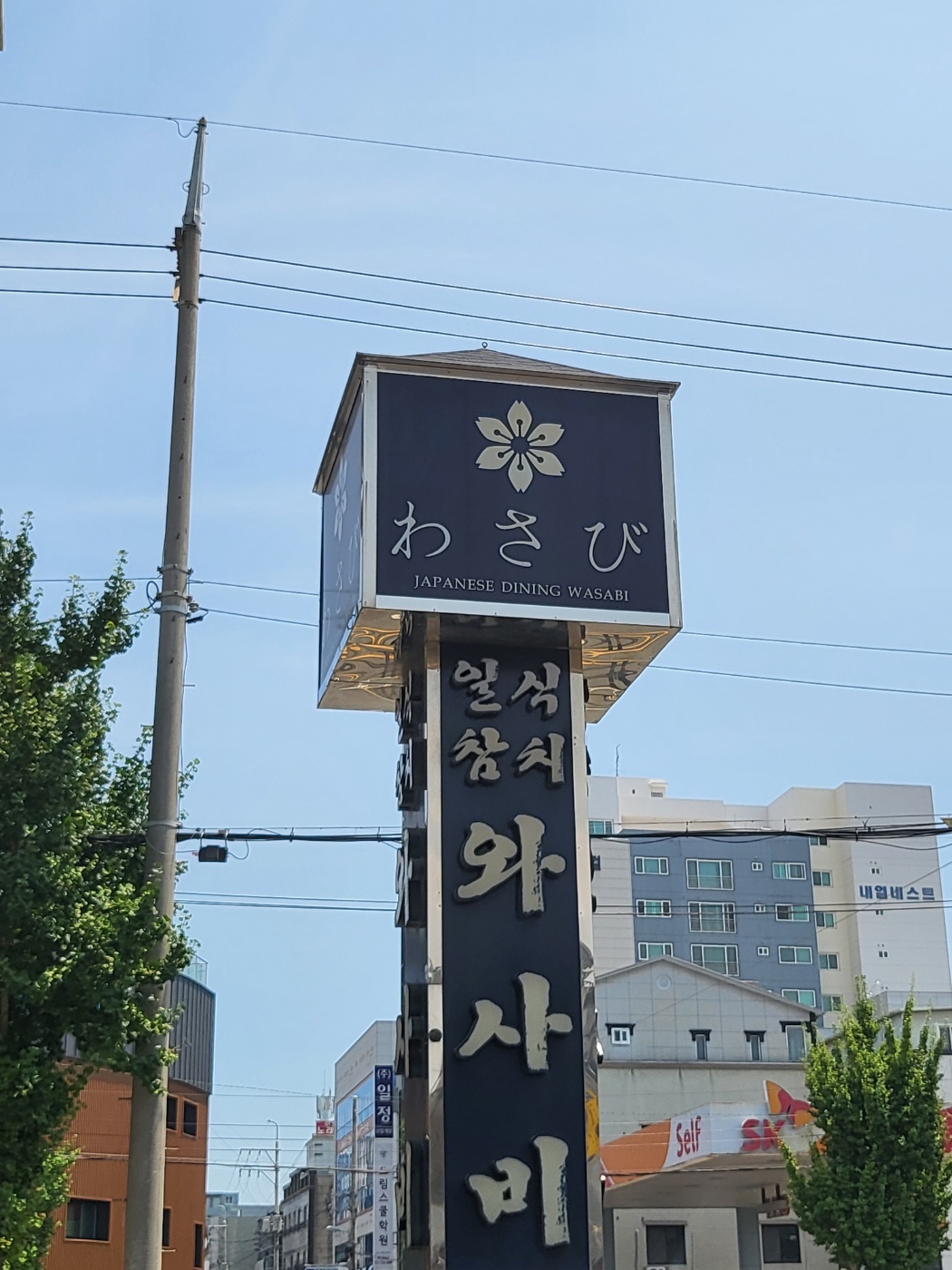 [일식와사비] 홀서빙 정직원구합니다. 공고 썸네일
