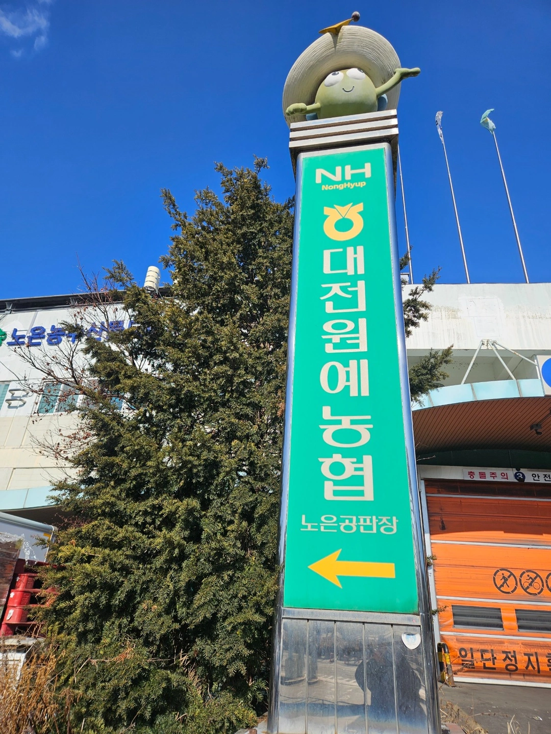 노은동 농수산물도매시장 야채 물류배송직원