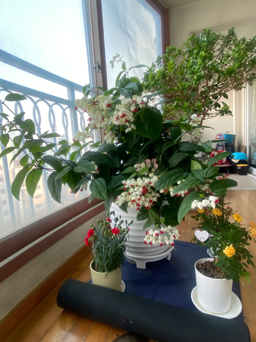 요양보호사님 구인합니다~