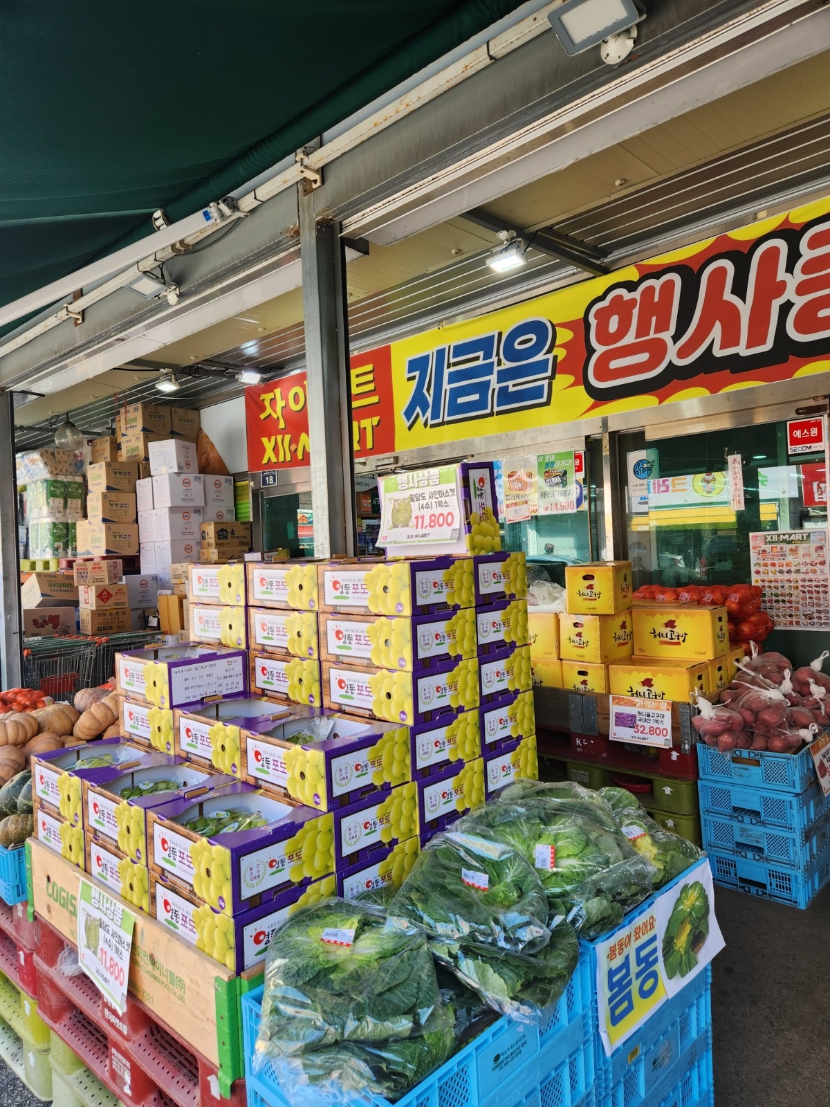 [자이마트 민락점] 야채/청과 직원 모집합니다! 공고 썸네일