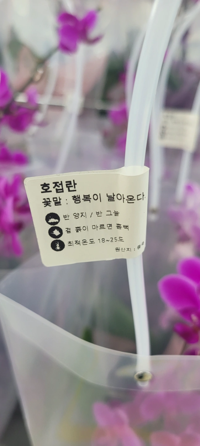 아이돌봄&가사도우미분 찾구있어용