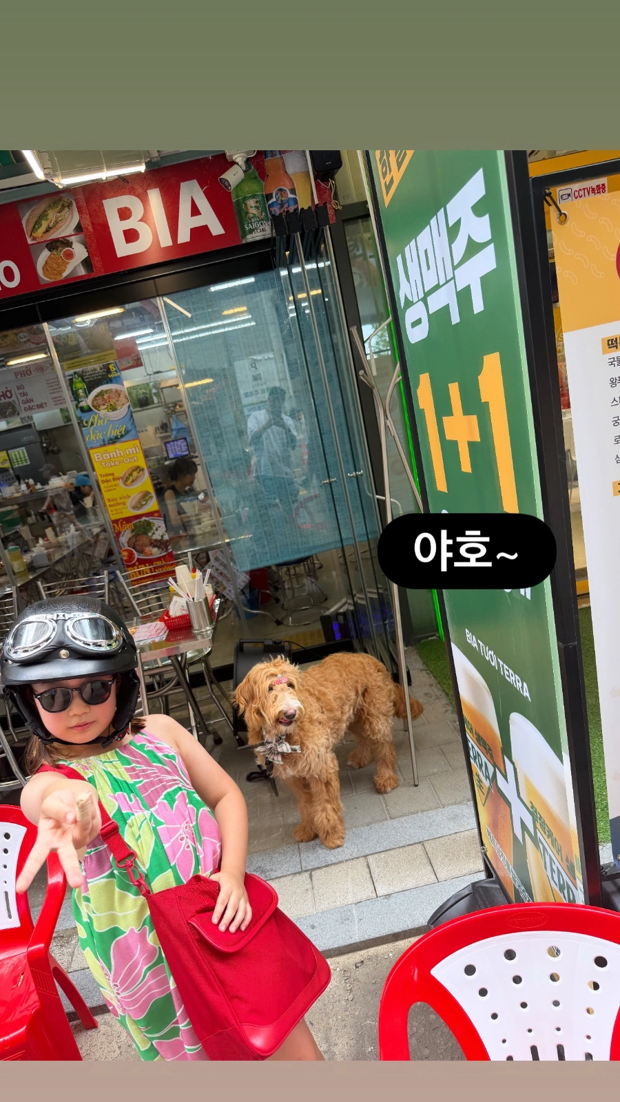 홀 파트 직원 구합니다.