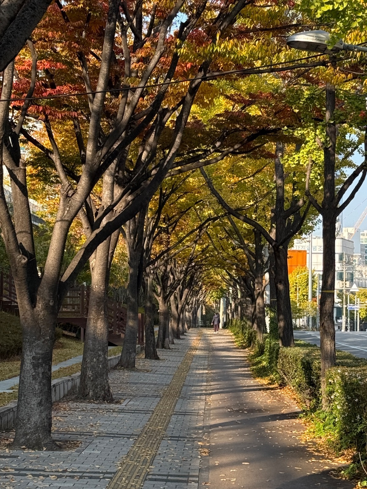 주택 청소하실분 구합니다 공고 썸네일