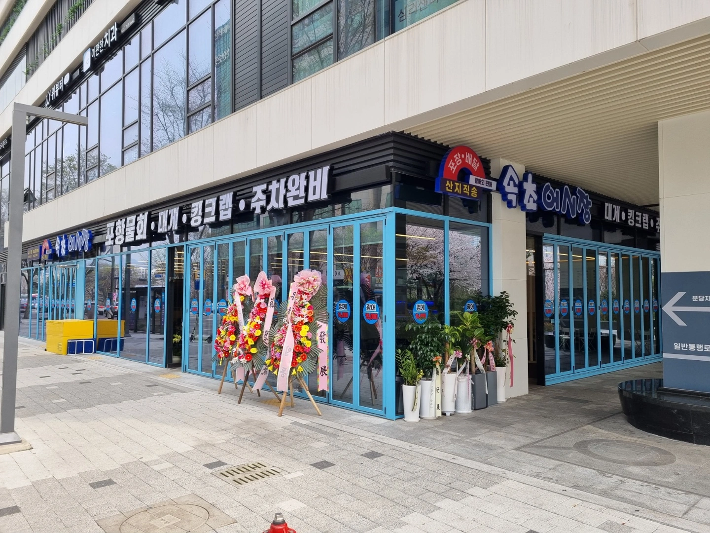 속초어시장 수내점에서 홀서빙 구합니다