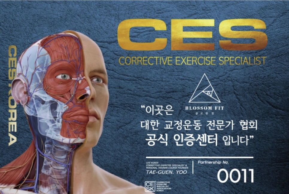 부산 하단역 트레이너 모집 블로썸핏
