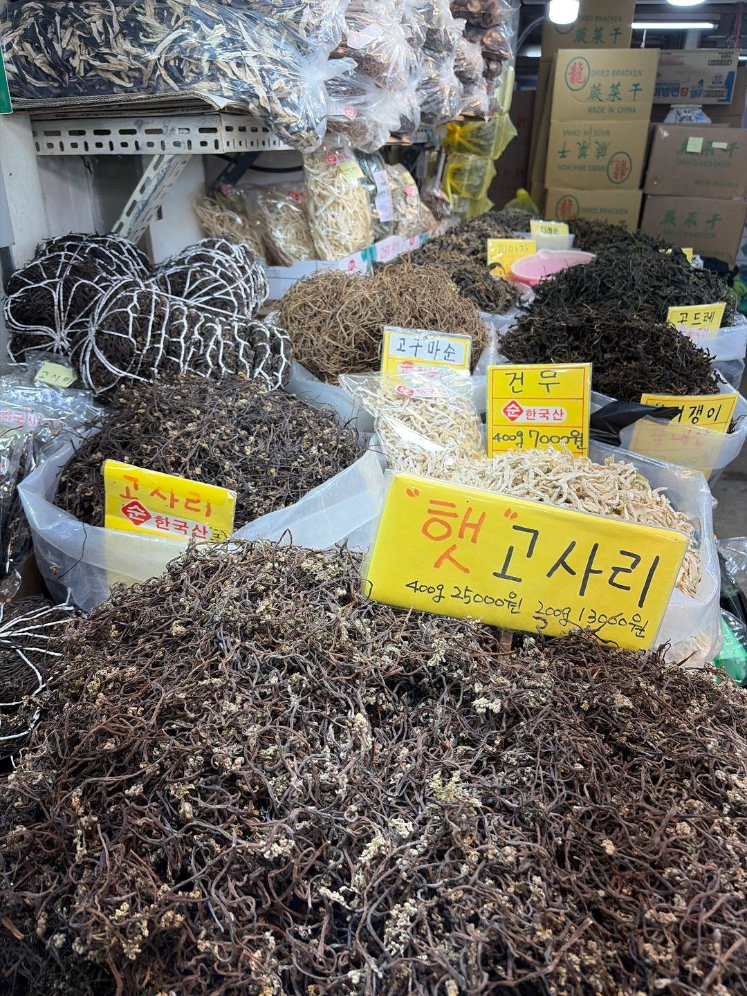 경동시장 새벽출근자