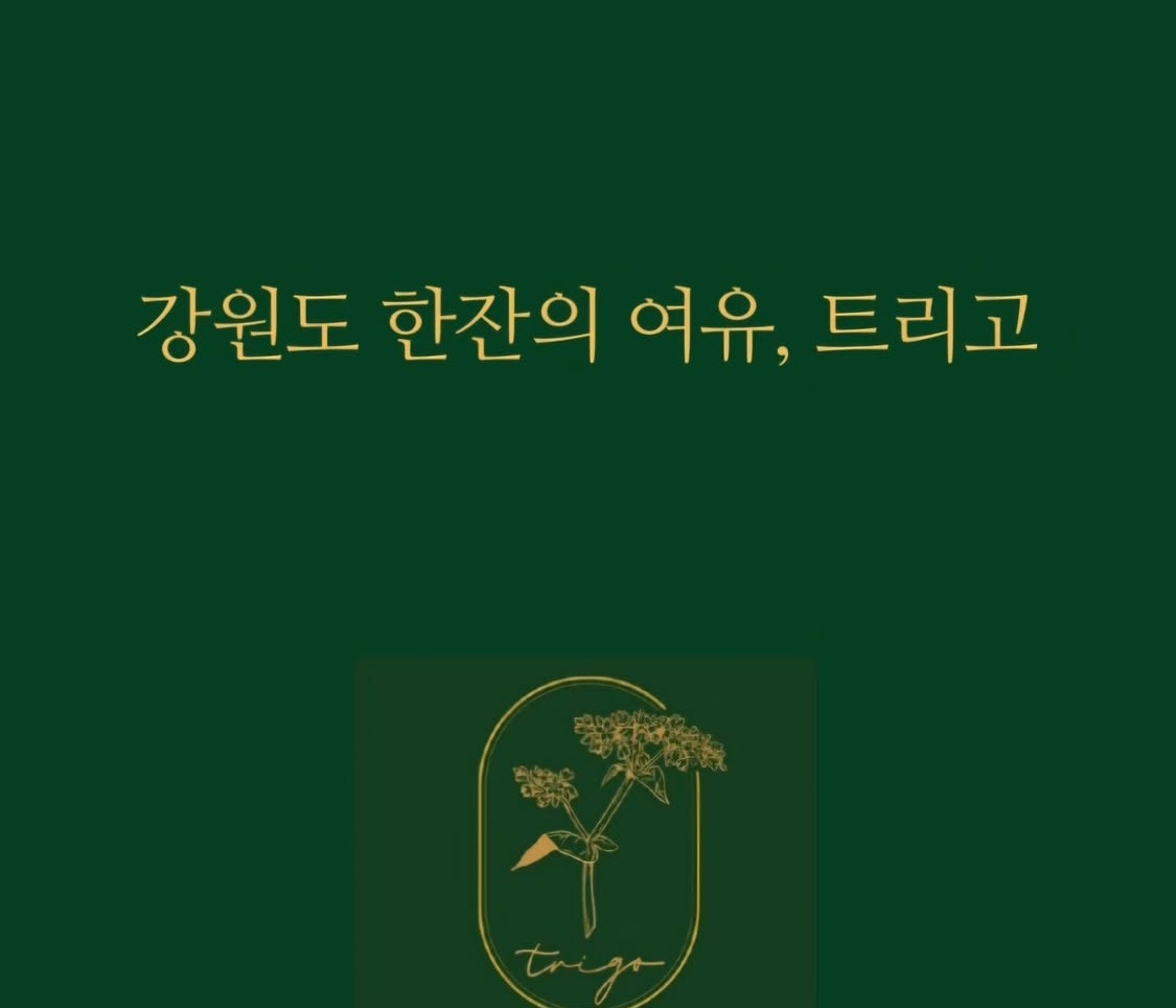 안녕하세요 트리고 동해점 직원 구인합니다! 공고 썸네일