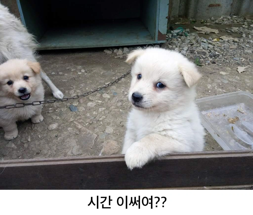 집 정리정돈 도와주세요