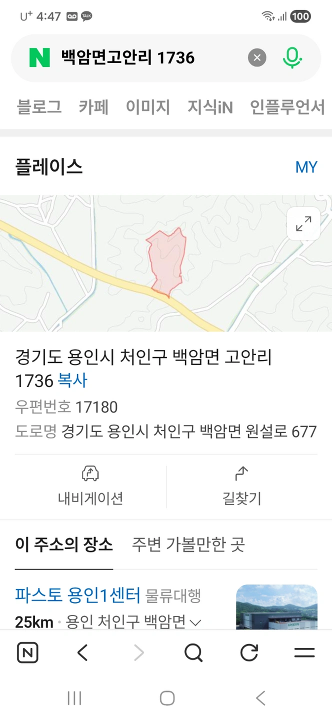 (냉동지게차)15일화요일/당일지급/리치능숙/장기근무