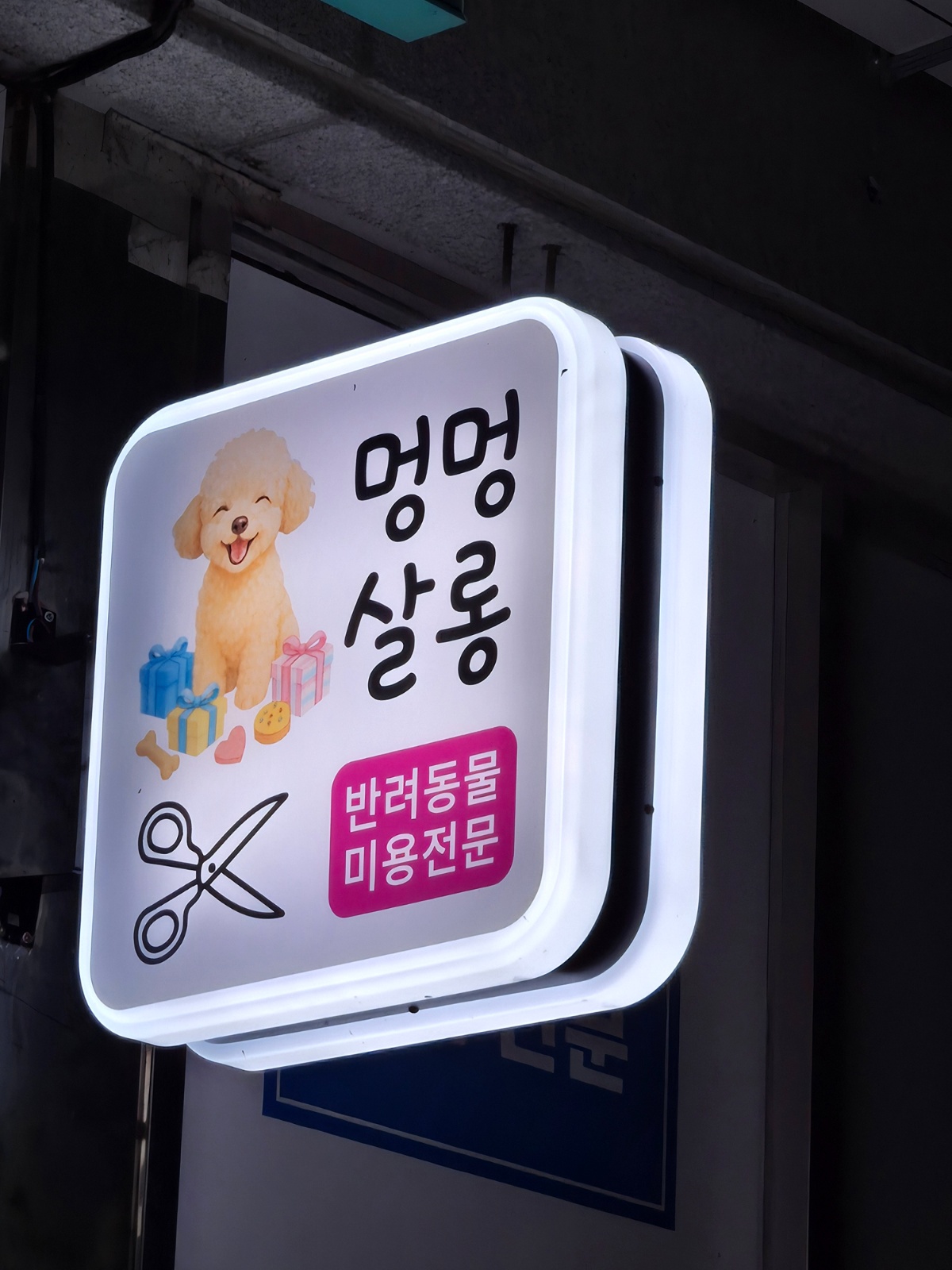 애견미용사 경력직 공고 썸네일