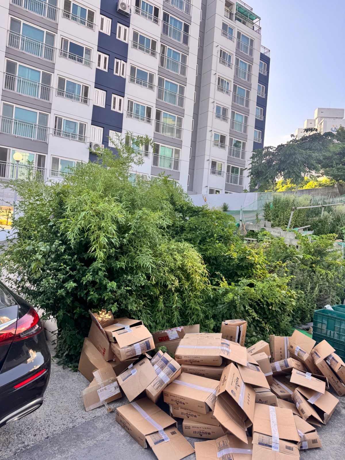 제초 필요합니당 공고 썸네일