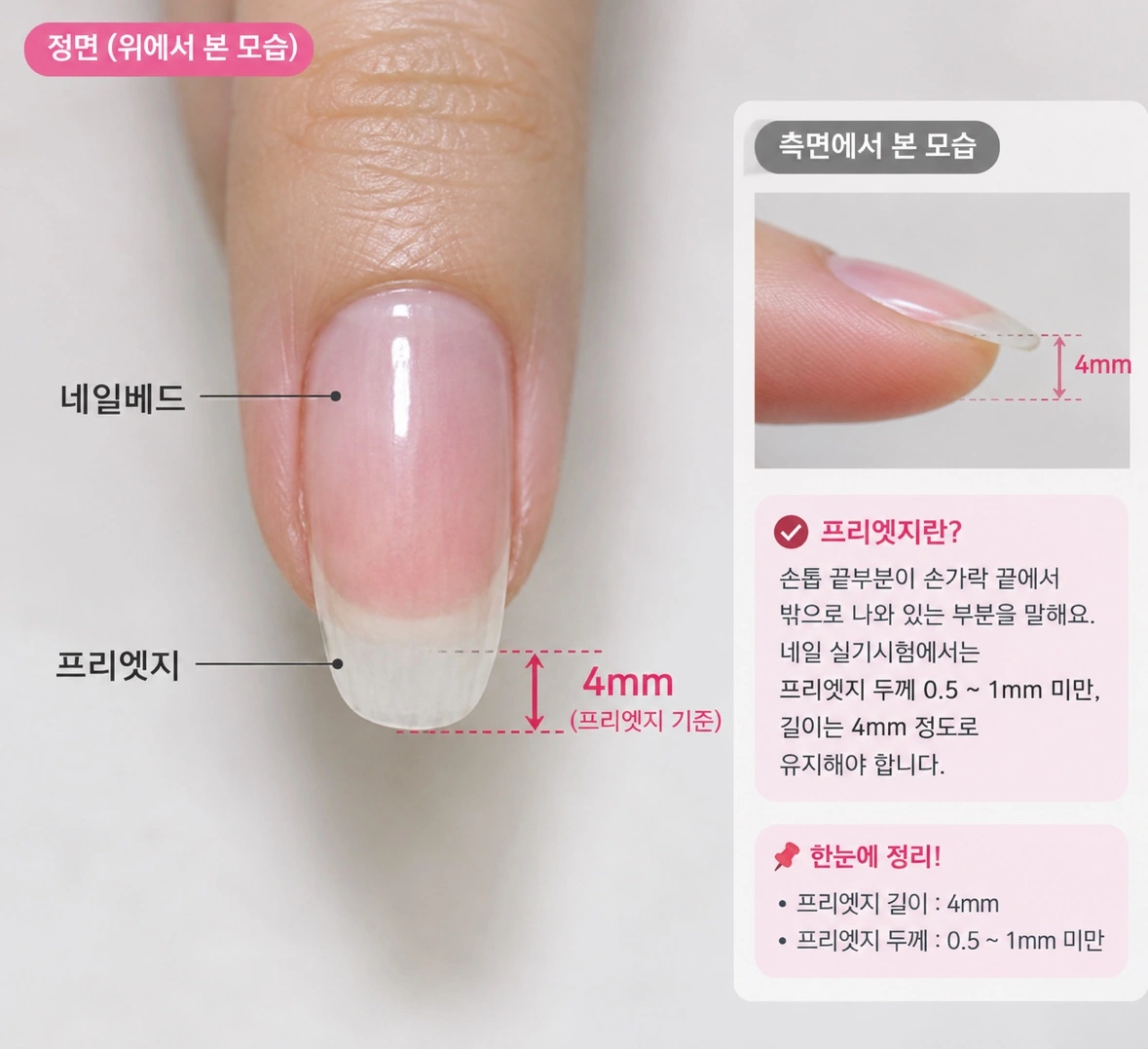 네일 국시 손모델 구인