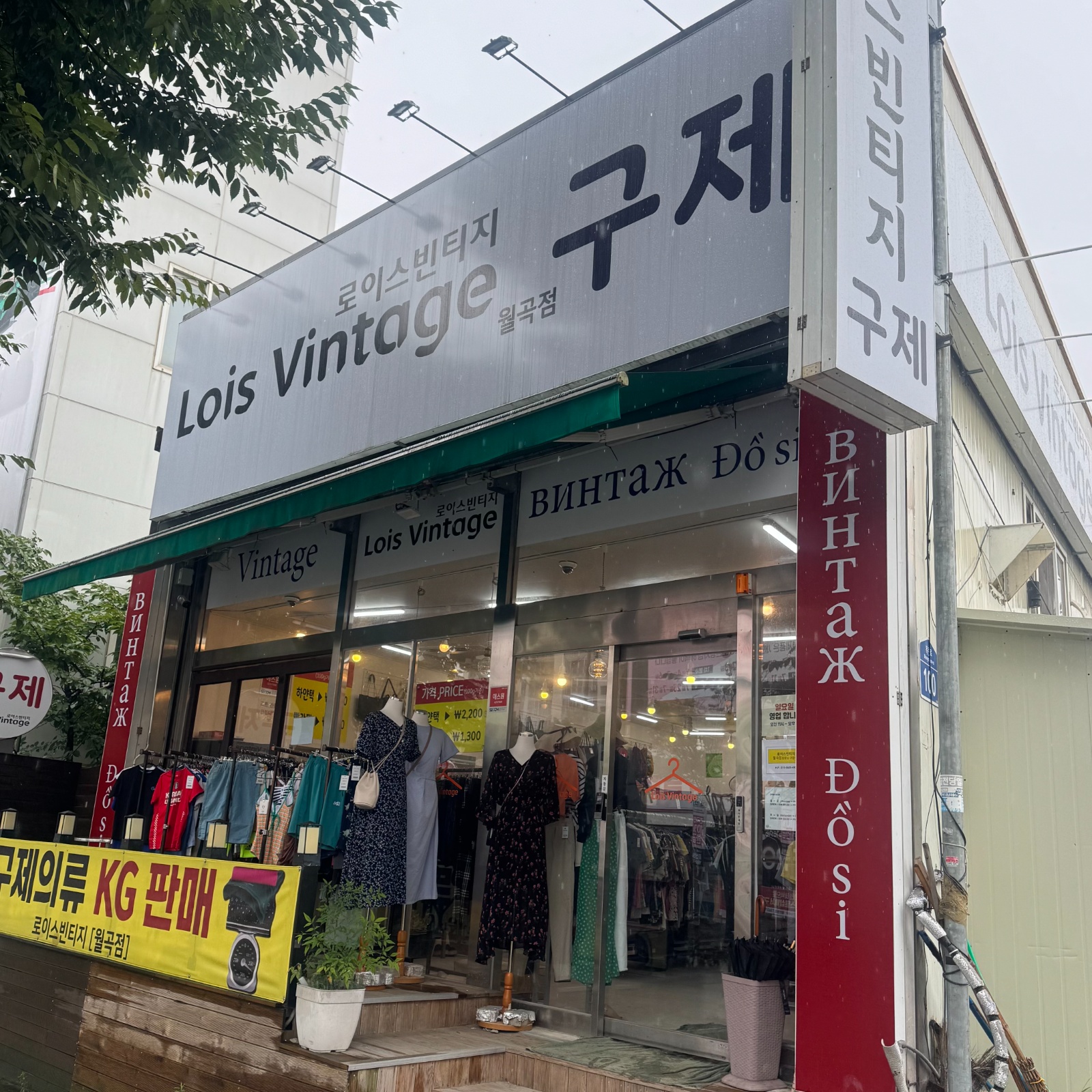 구제의류 매니저 구함 공고 썸네일