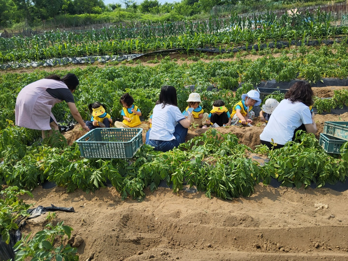 어린이집 보조교사