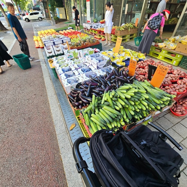 야채과일 가게 진열및판매 직원구합니다 공고 썸네일