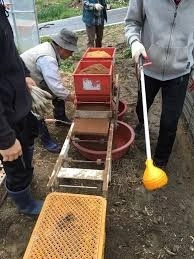 모판만들기 알바구인