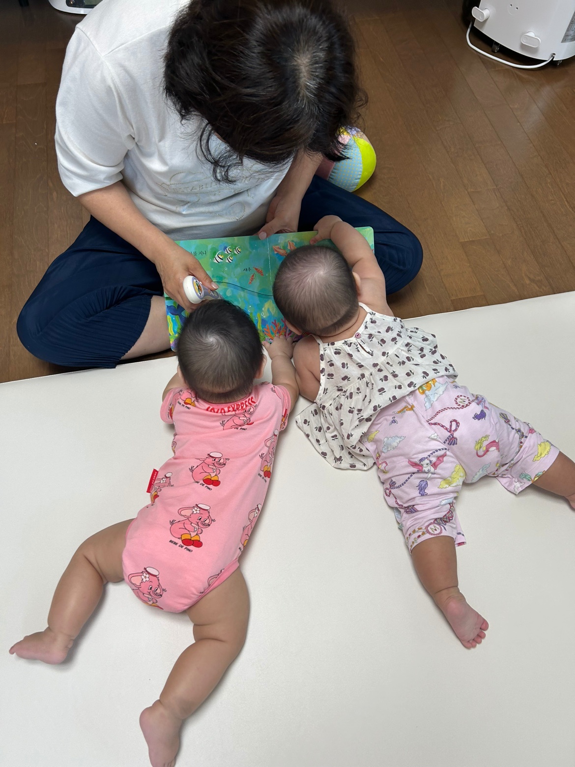 [단기 시터 구인] 8월 6일~7일 공고 썸네일