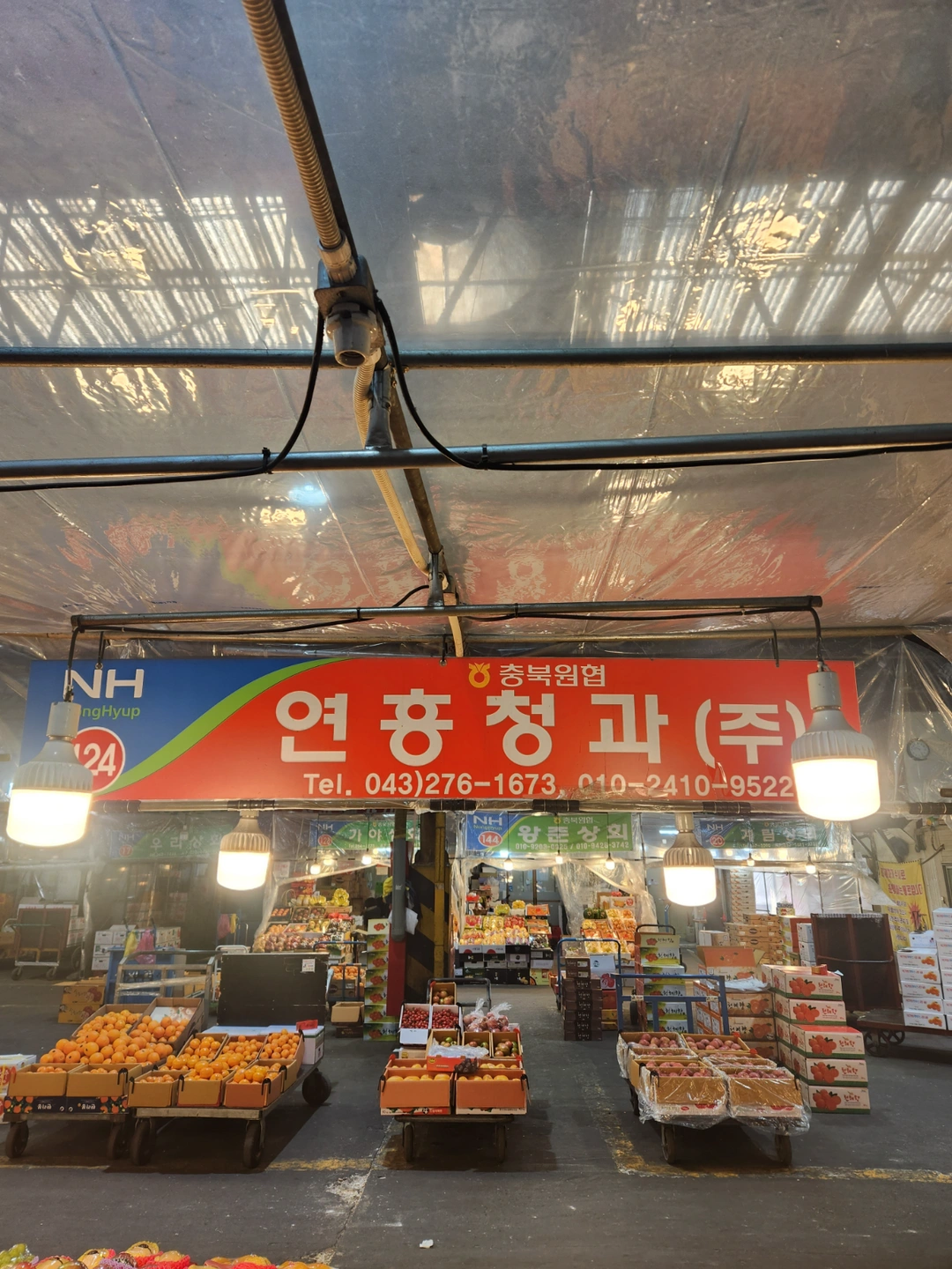 단기알바구합니다