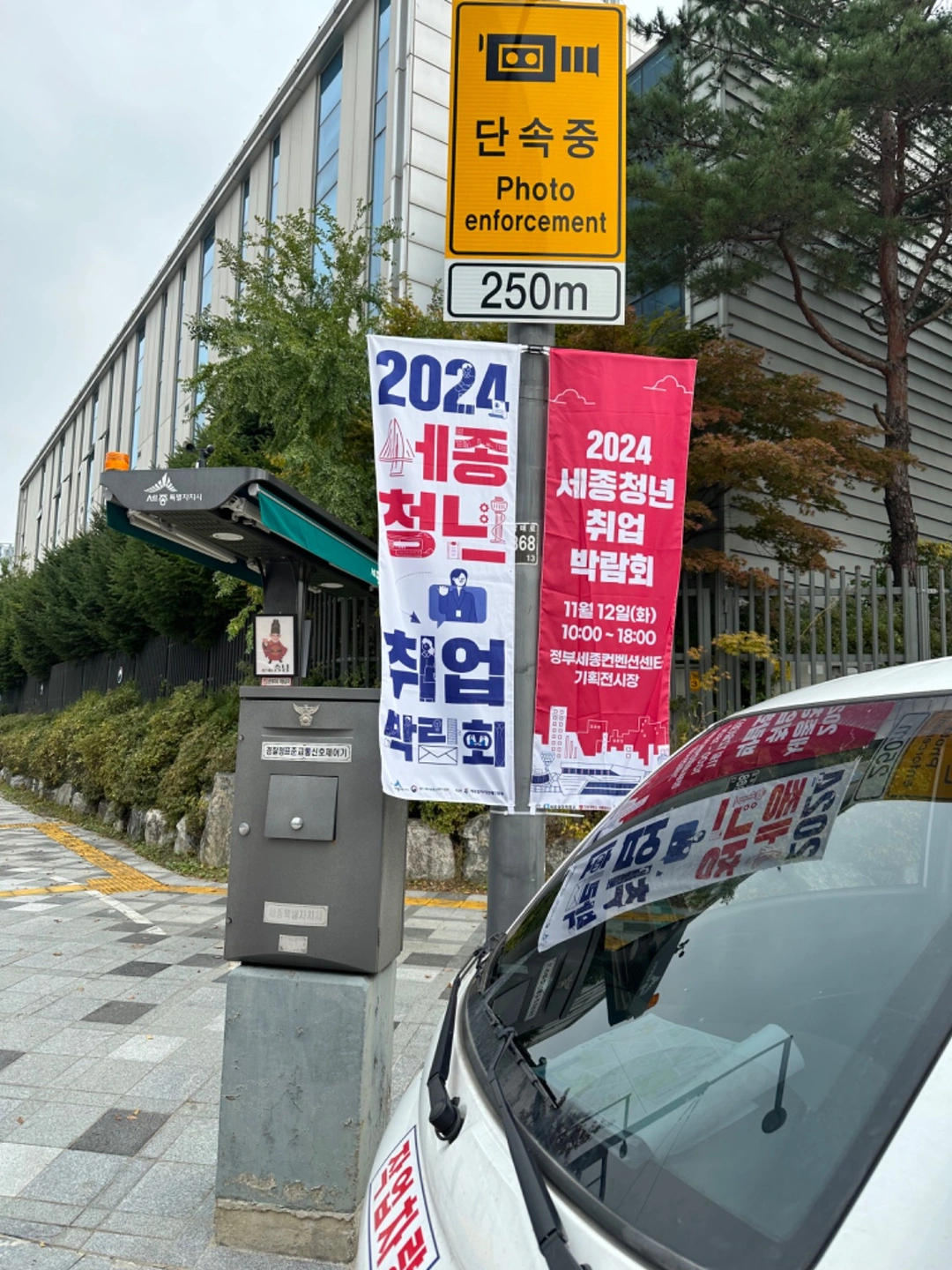 가로등배너 철거알바