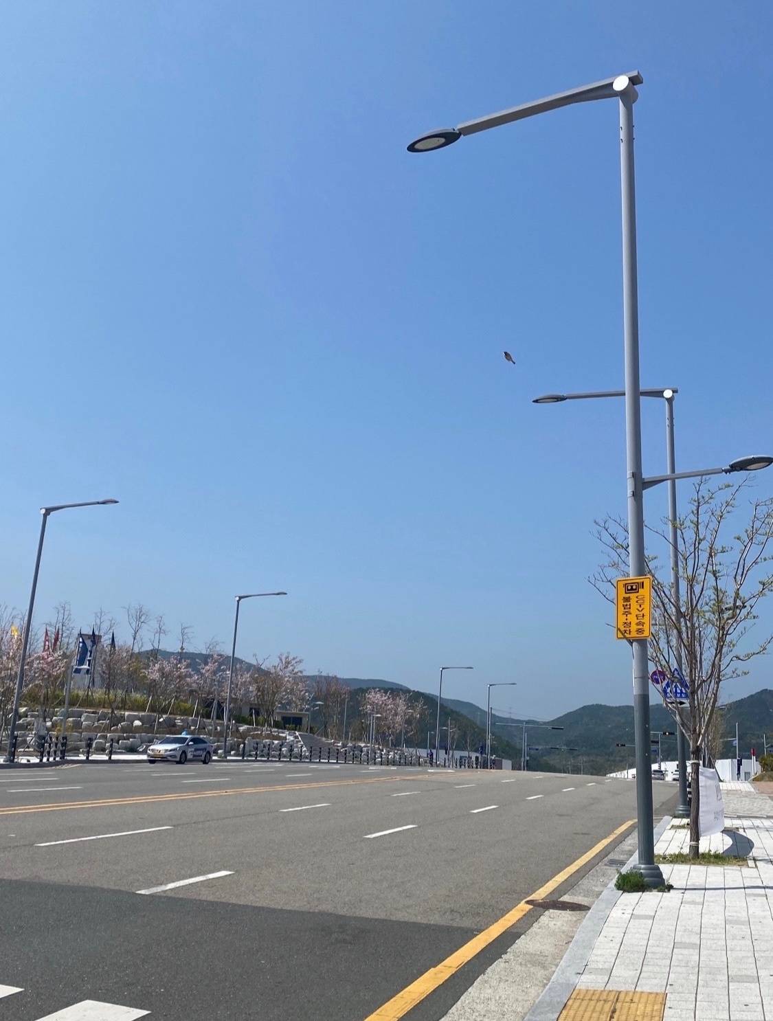갤럭시에서 아이폰으로 사진만 옮기기 잘 아시는 분 ! 공고 썸네일