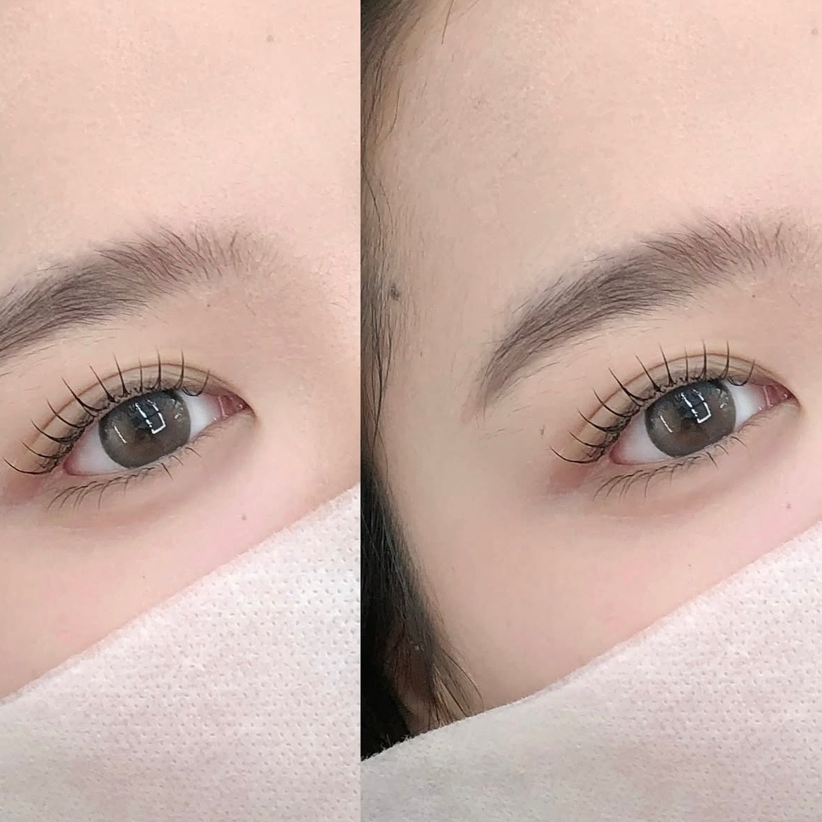 속눈썹 연장(마스카라연장)모델구해요~!!! 공고 썸네일