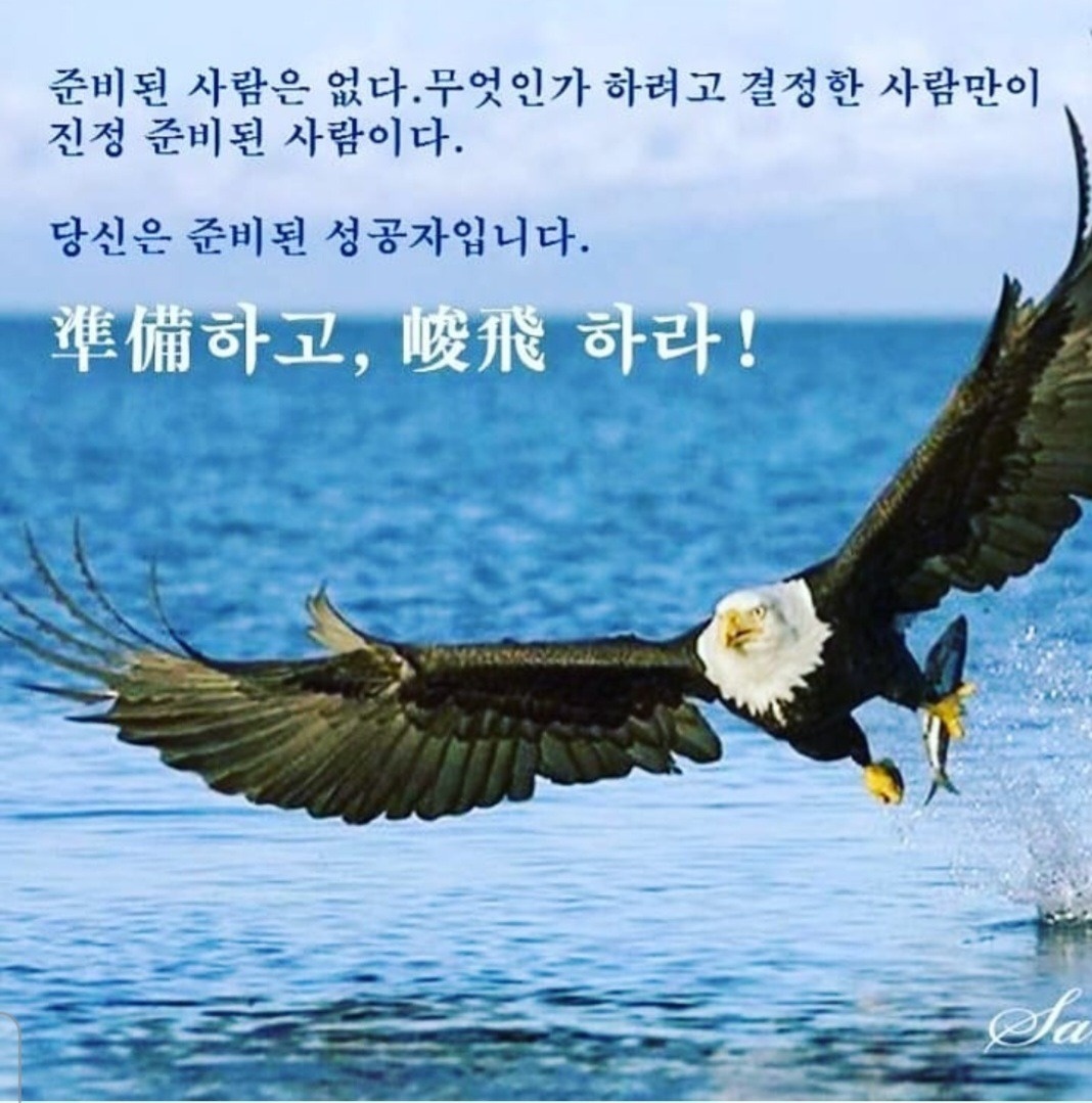 5/30 입주 청소 하실분 공고 썸네일