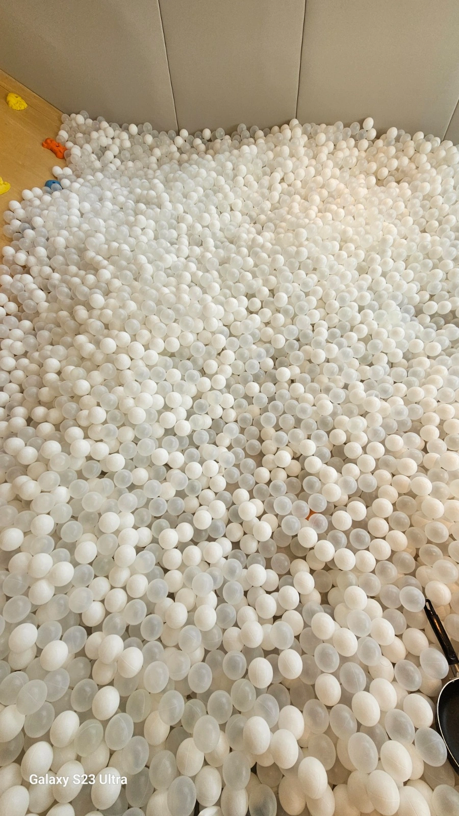 공 마대에 담기