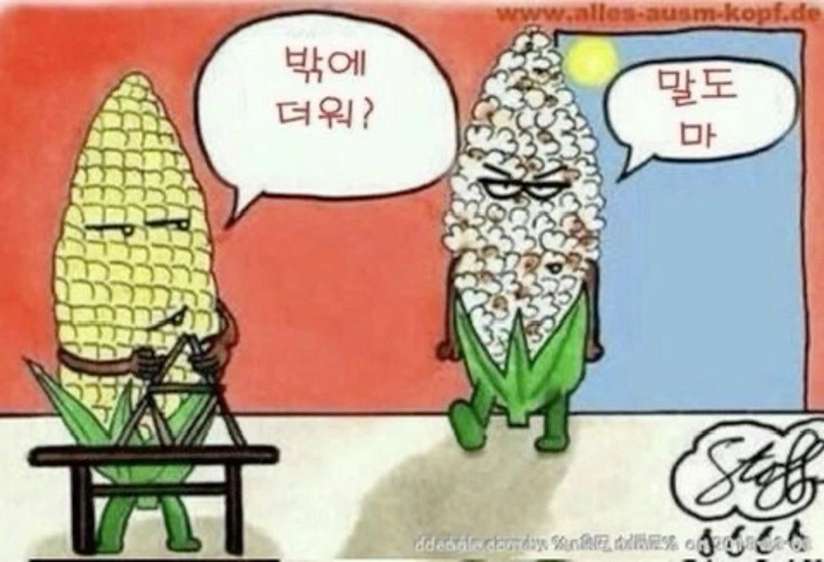성심당 빵이랑 정동문화사 휘낭시에 구매해주실 분