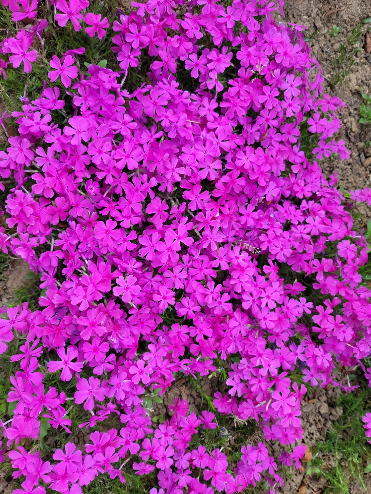 산모신생아관리사 공고 썸네일