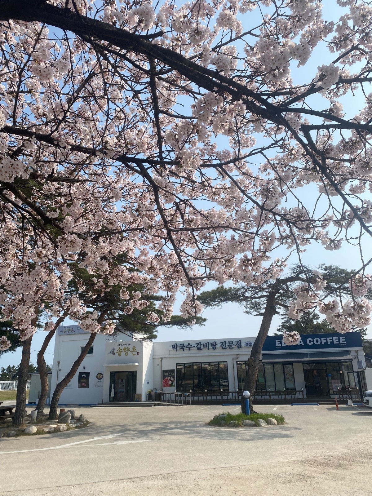 솔향촌 홀서빙 공고 썸네일