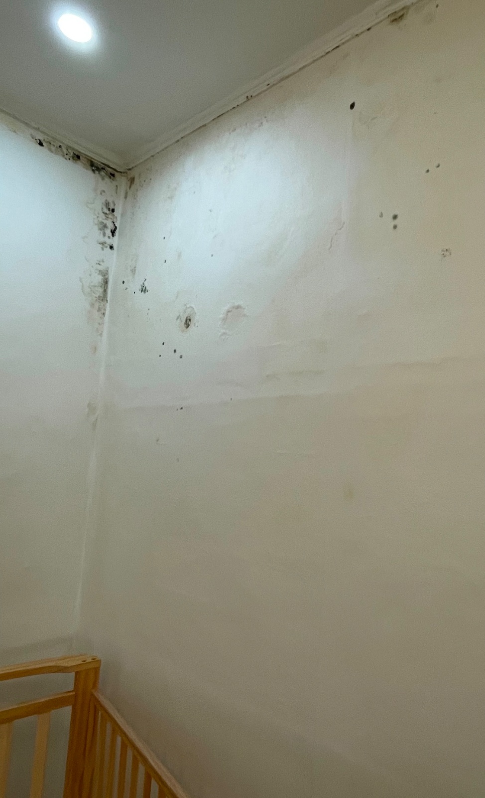 벽지 제거후 도배 (곰팡이핀 벽지 제거)등 공고 썸네일