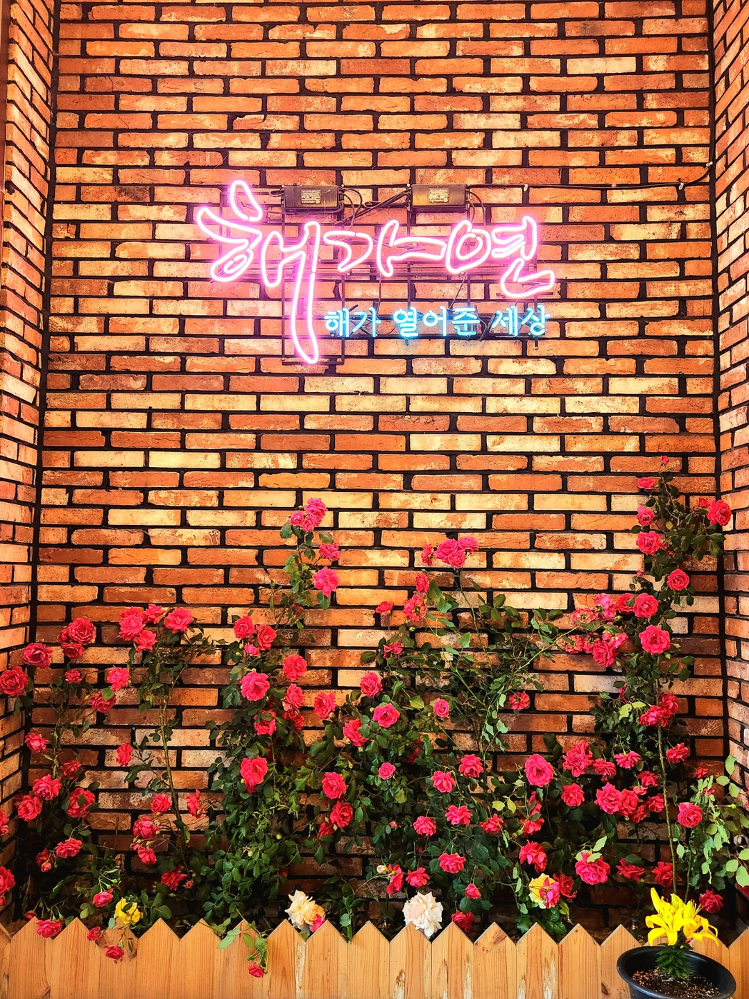 주차관리 모십니다.