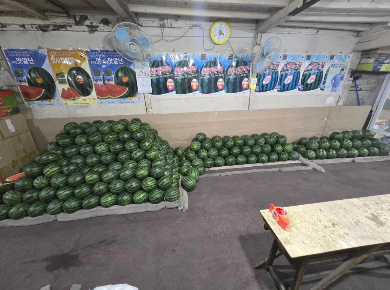 수박 작업 업무보조 구합니다