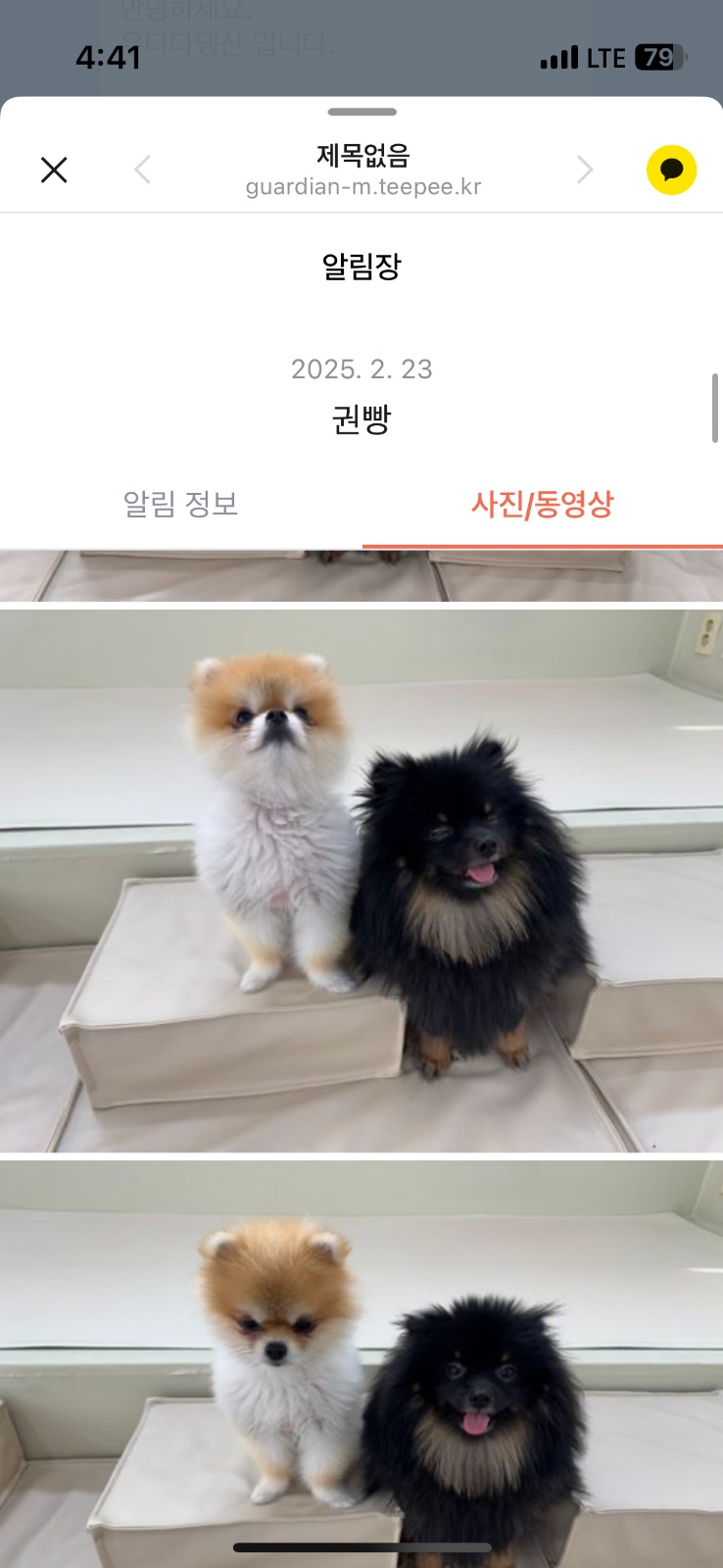 2.27-2.28 저녁에 강아지랑 같이 자주실분 공고 썸네일