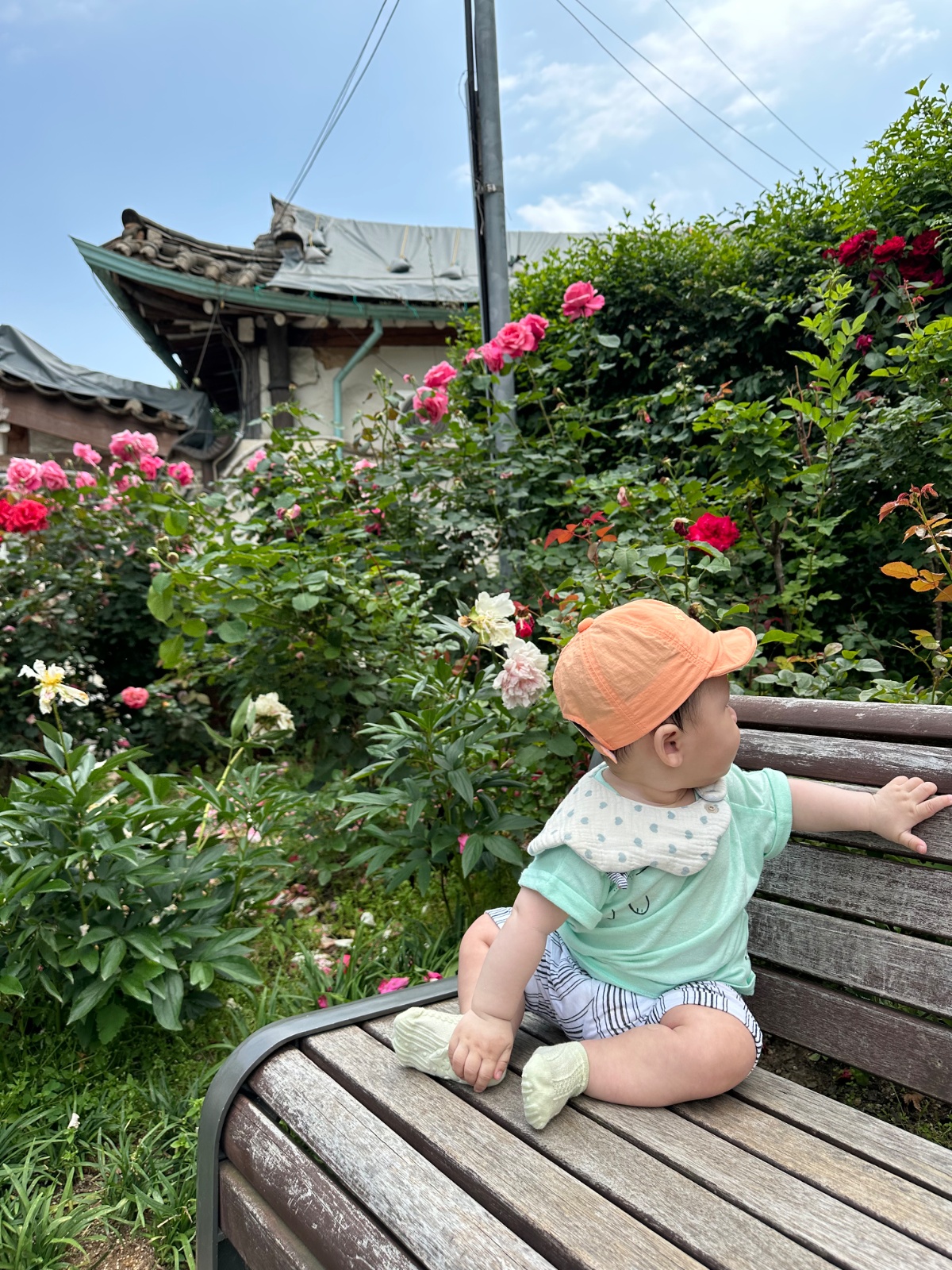 아이 돌보미구인(8시반~10시반 또는 오후3시반~7시) 공고 썸네일
