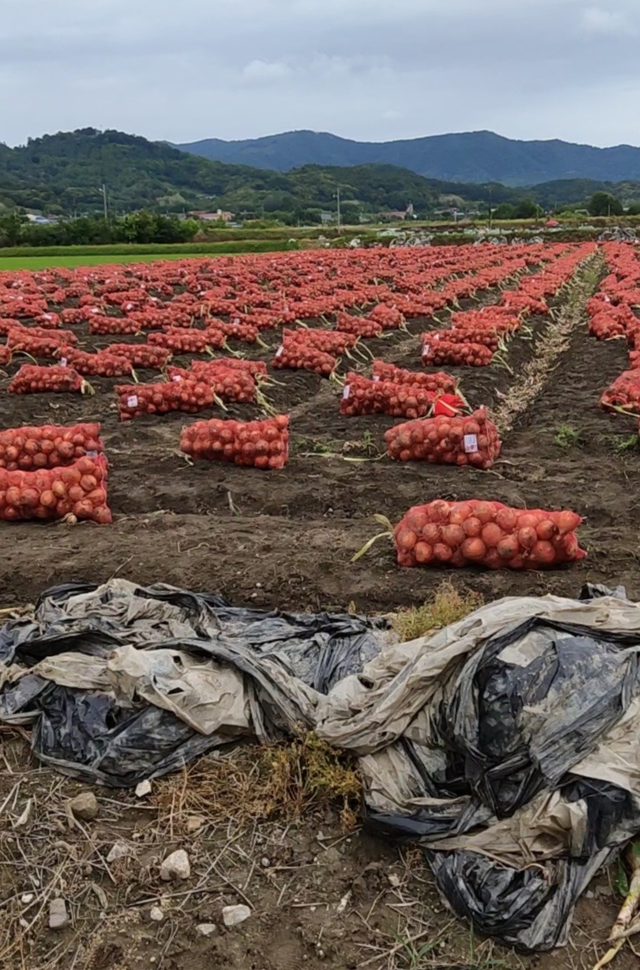 낙민동 아르바이트 장소 (4)