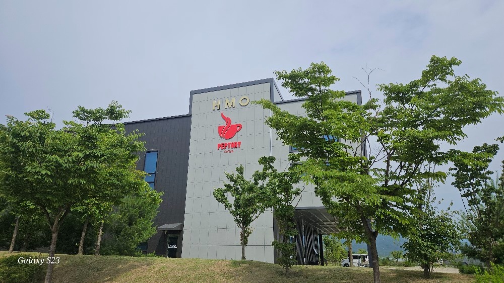 에이치엠오연구소 총괄업무 공고 썸네일