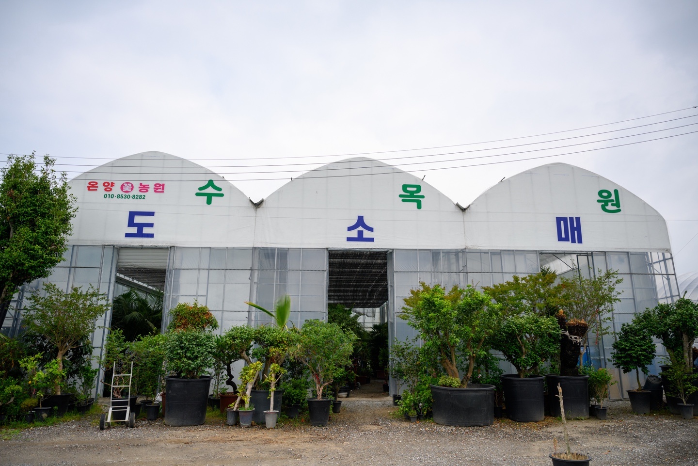 [ 온양농원 ]주 3일,5시간 근무자 구해요! 공고 썸네일