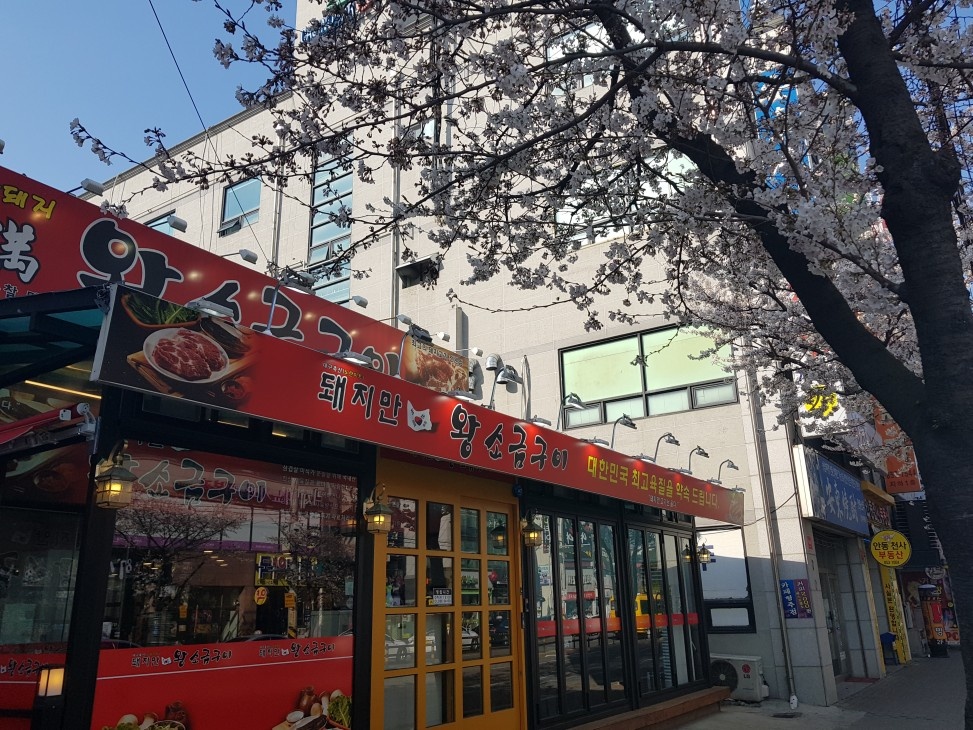 돼지만왕소금구이 직원구합니다 공고 썸네일