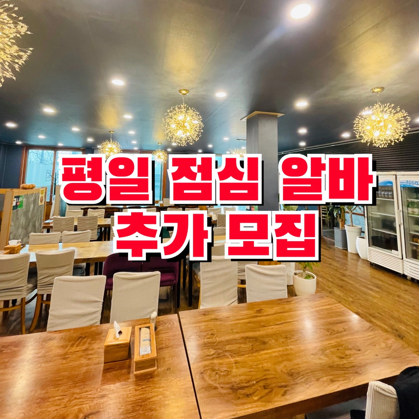 평일 점심 알바 추가 모집