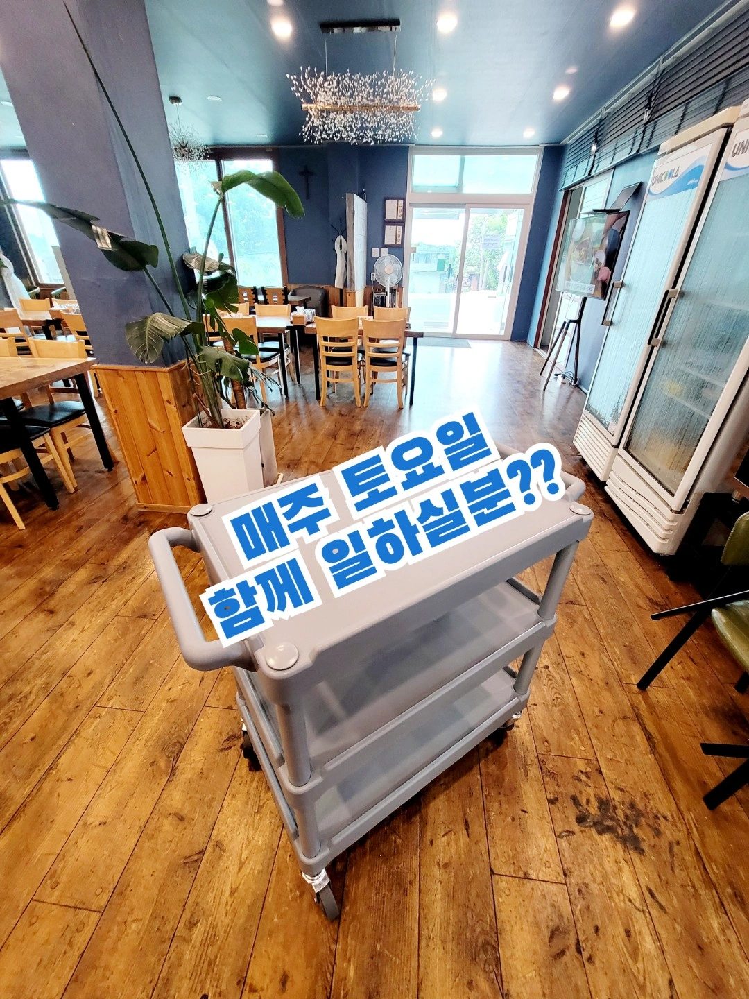 매주토요일점심 함께 일하실분