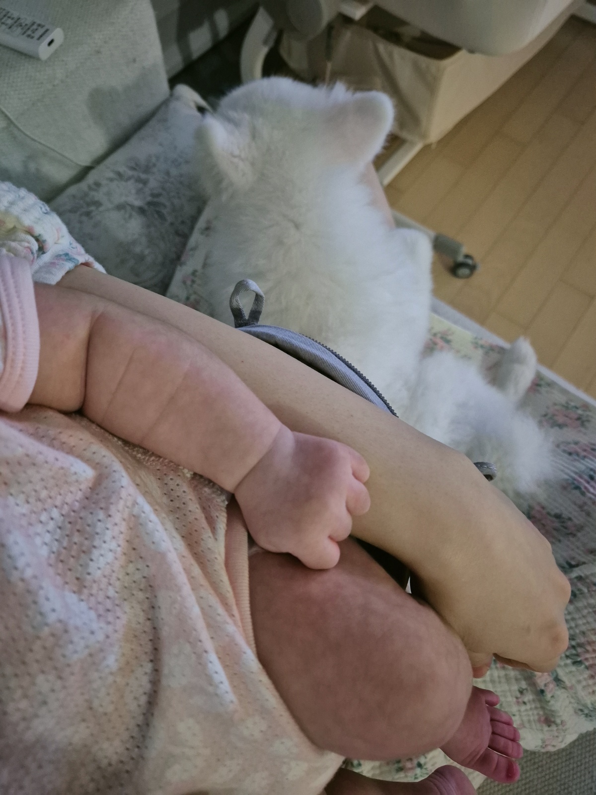 옥수동 여아돌봄 시터님모셔요 공고 썸네일